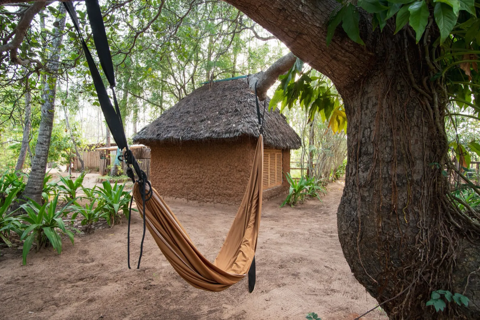 Eco rooms on Mida Creek at Horsebay Watamu, Mida Creek