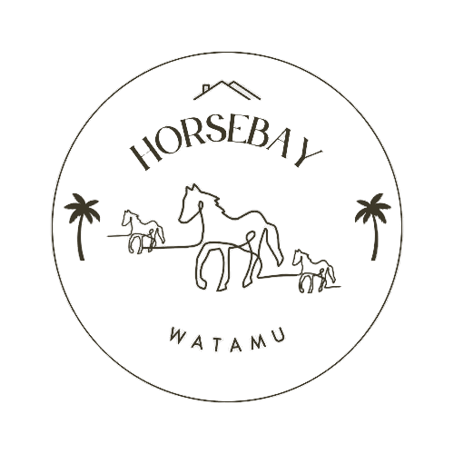 HorseBay Watamu